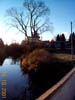 rivertree